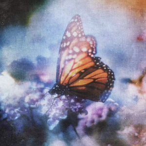 亚洲中文字幕aⅴ天堂2020
